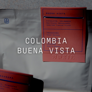 Buena Vista - Hybrid Washed Colombia