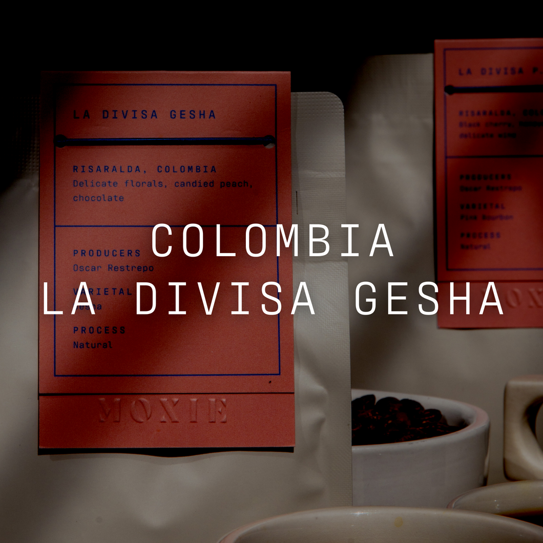 La Divisa Gesha - Natural Colombia Gesha