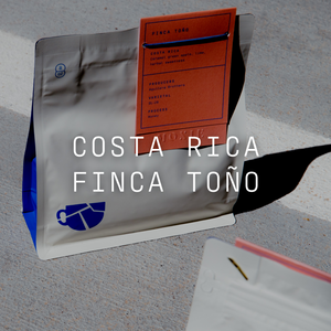 Finca Toño - Semi-Washed Costa Rica