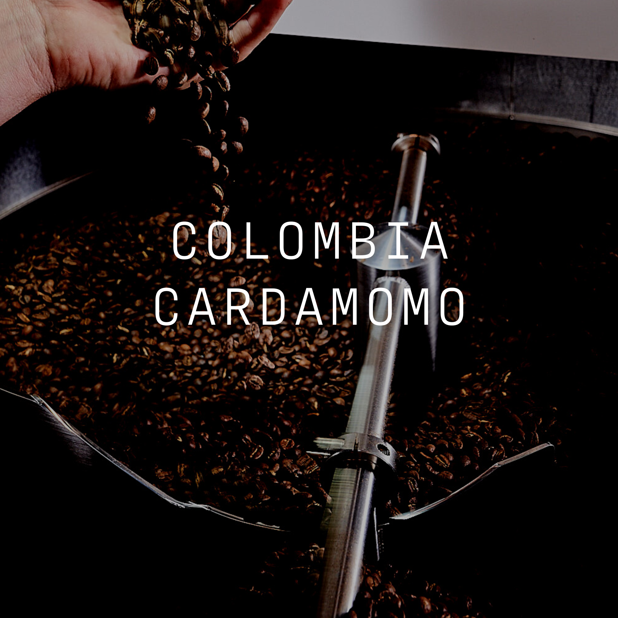 Cardamomo - Thermal Shock Washed Colombia – Moxie Coffee Co.
