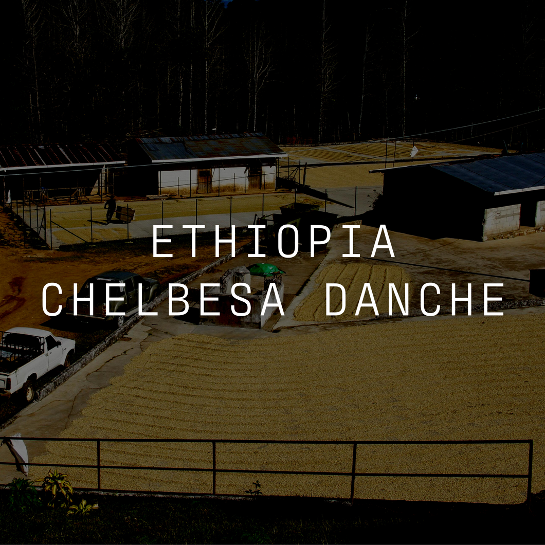 Chelbesa Danche - Washed Ethiopia
