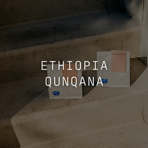 Qunqana - Honey Ethiopia