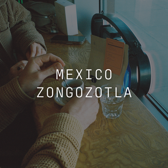 Zongozotla - Washed Mexico