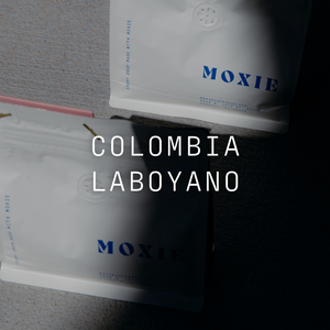 Laboyano - Washed Colombia