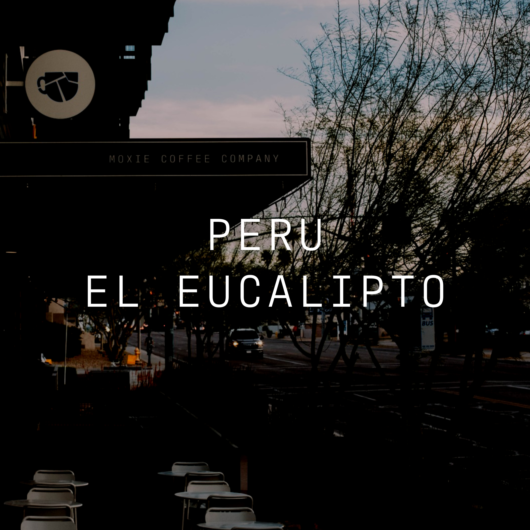 El Eucalipto - Washed Peru