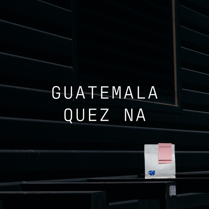 Quez Na - Washed Guatemala