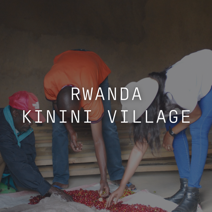 Kinini Village - Washed Rwanda
