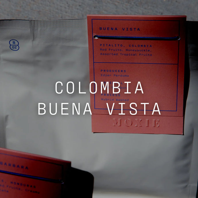 Colombia - Buena Vista - Hybrid Washed