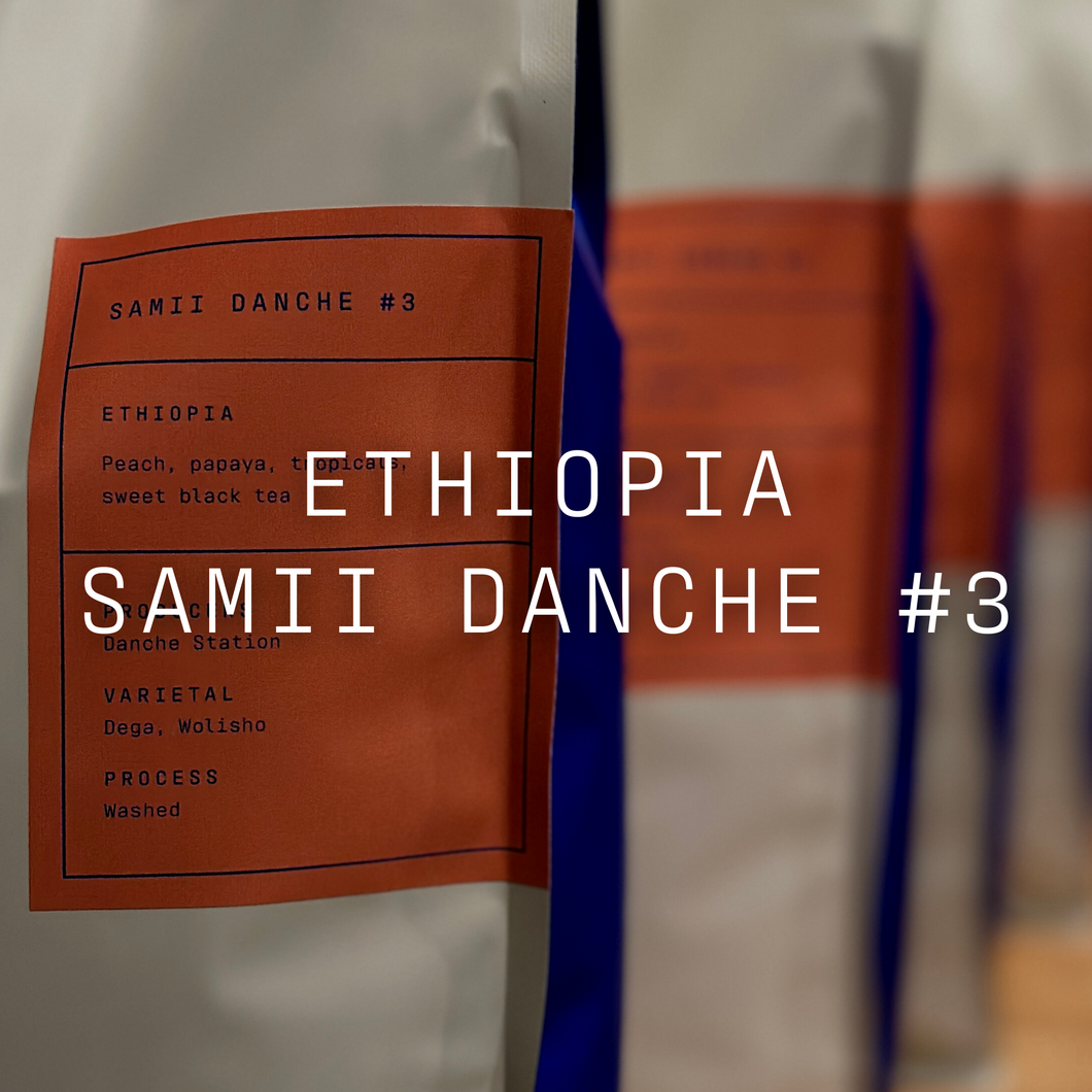 Samii Danche #3 - Washed Ethiopia