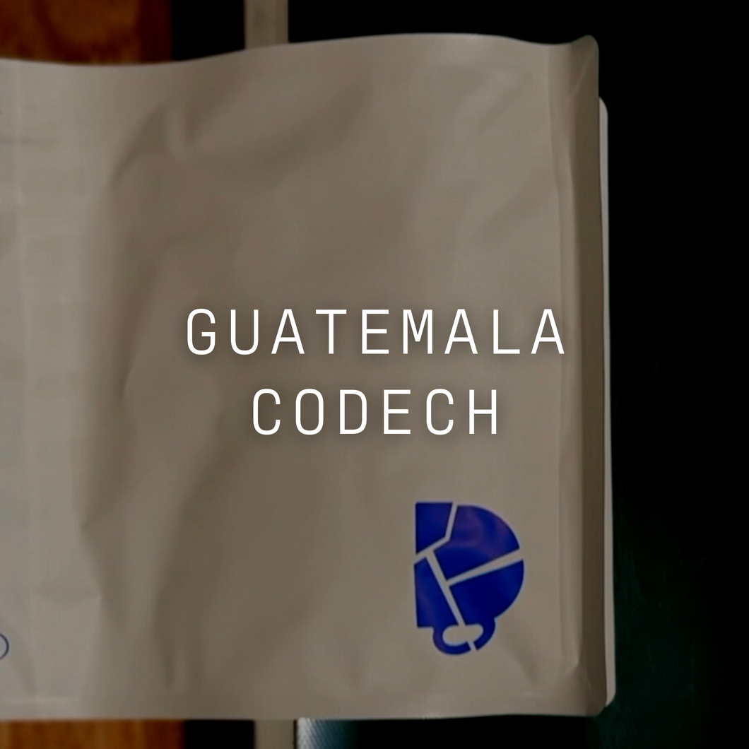 Guatemala - CODECH - Washed