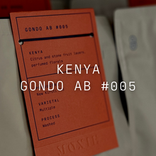 Load image into Gallery viewer, Gondo AB #005 - Washed Kenya
