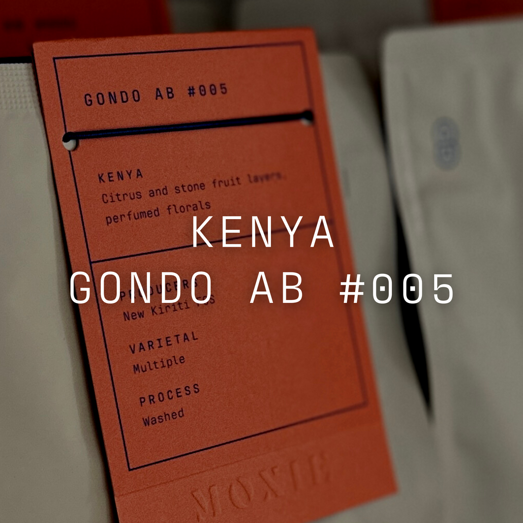 Gondo AB #005 - Washed Kenya